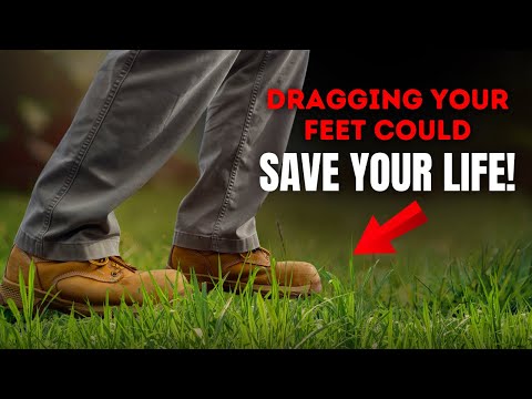 Why Would Running from a Downed Power Line Kill You?