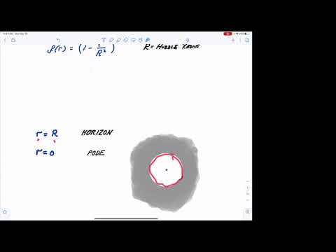 Some Half-Baked Thoughts about de Sitter Space - Leonard Susskind