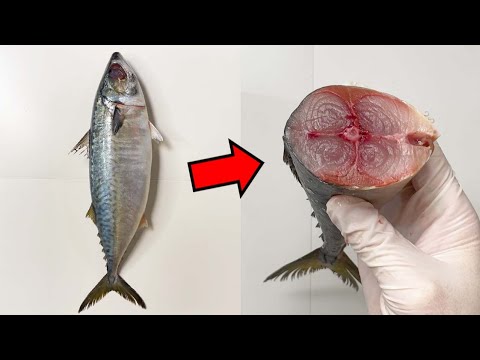 당신이 고등어에서 보지 못한 것들.. (충격주의ㅠ)