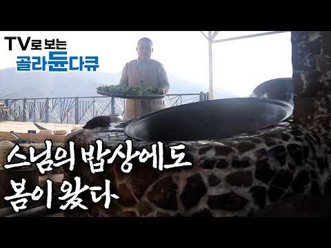 보기만 해도 저절로 채식주의자 되는 부처님 오신 날 기념 특집 🌸ㅣ산골의 셰프들ㅣ한국기행│#골라듄다큐