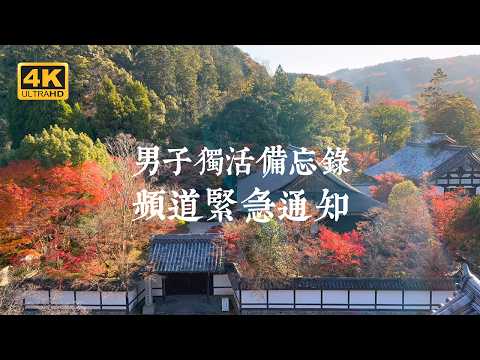 【Kyoto Solo Trip Special】The Biggest Crisis of the channel "Solo Life Memo"! | 2-Day Kyoto Itinerary