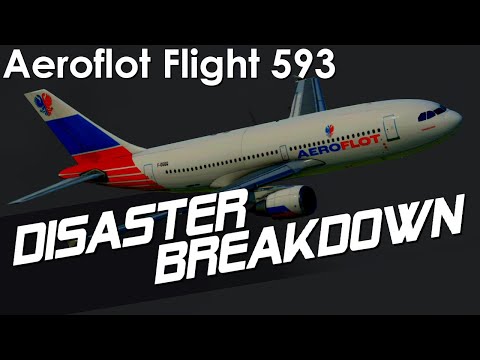 How A Child Crashed A Passenger Plane (A Deeper Dive into Aeroflot Flight 593) - Disaster Breakdown