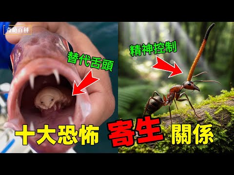 自然界真實存在的10個「恐怖寄生關係」，第1個就讓你頭皮發麻！第10個你絕對猜不到！|#世界之最 #奇葩百科 #寄生蟲 #恐怖生物 #科普 #寄生關係 #top10 #自然界 #科普