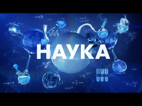Победить ВИЧ. Программа "Наука" #40