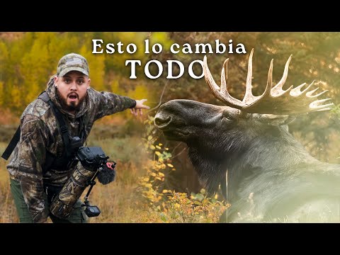 Los Secretos para lograr FONDOS ÉPICOS🔥en cada foto de fauna