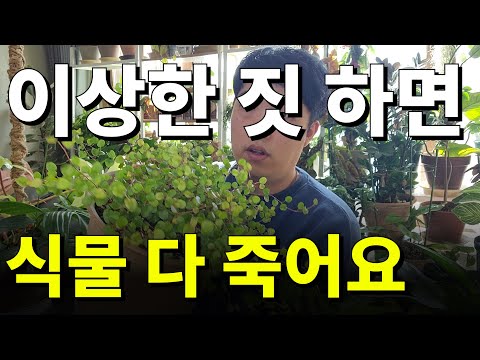 5 Weird Behaviors to Avoid When Growing Plants