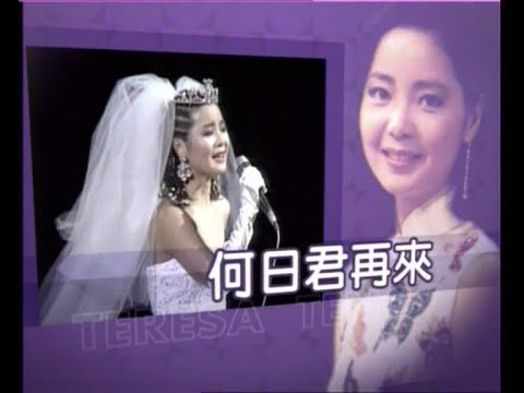 何日君再來——鄧麗君十周年祭