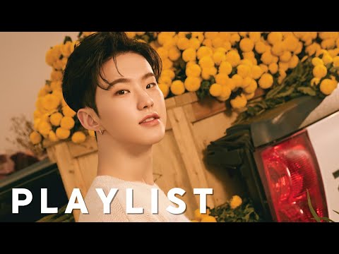 [Playlist] SEVENTEEN Best Songs Collection | MV + Lyrics Full Package