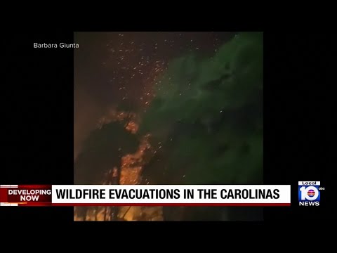 Nearly 200 wildfires break out in the Carolinas
