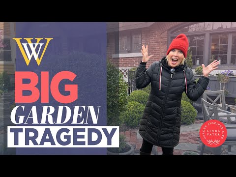 Don't Want To Believe This Garden Tragedy