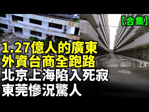 【合集】廣東外資台商集體撤離中；上海大蕭條景象難以想像；北京豪宅跌成白菜價也沒人要 #看大陸