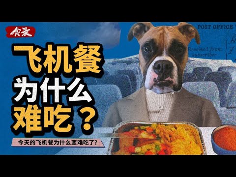 这世上还有好吃的飞机餐吗？为什么大多数的飞机餐都这么难吃？【食录】