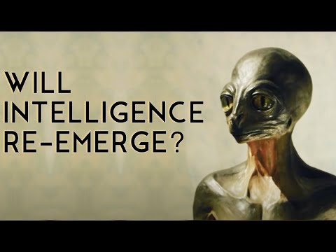 What If Intelligence Re-Emerges?