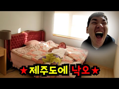 제주도에서 친구 몰래 이사가기ㅋㅋㅋ