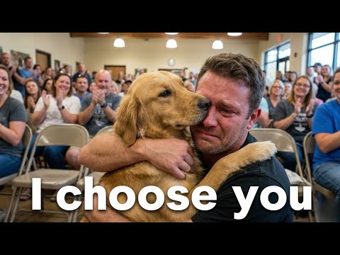 Every Dog Walked Past Everyone… Until This Moment