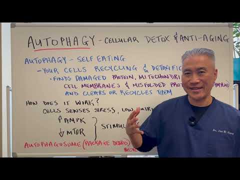 This Triggers AUTOPHAGY Fast