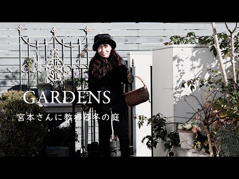 How to make your winter garden beautiful