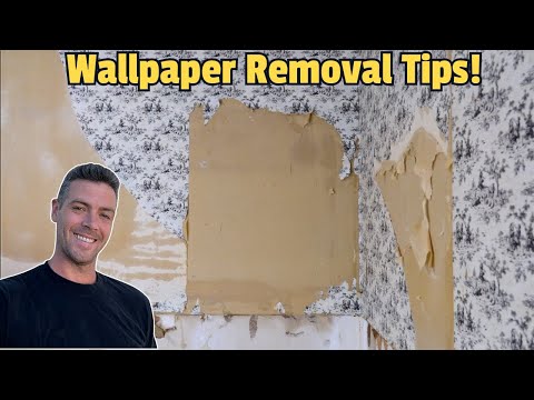Wallpaper Removal! What Worked and What Didn't!