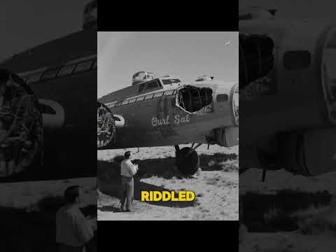 The Bullet-Riddled Bomber That Made It Home #aviationhistory #history #aviation #ww2
