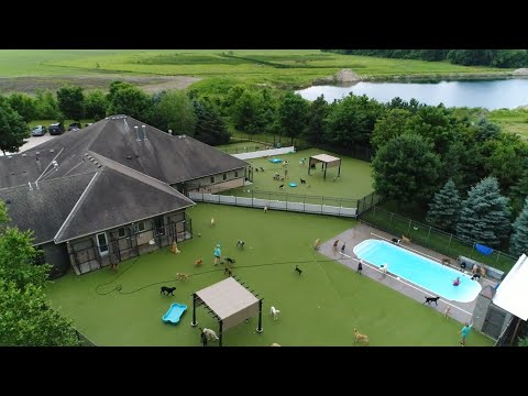 Top Dog Country Club Tour