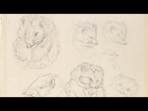 Beatrix Potter: A true artist by Lindsay Moen