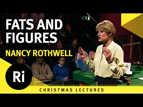 Fats and figures - Nancy Rothwell's 1998 Christmas Lectures 2/5
