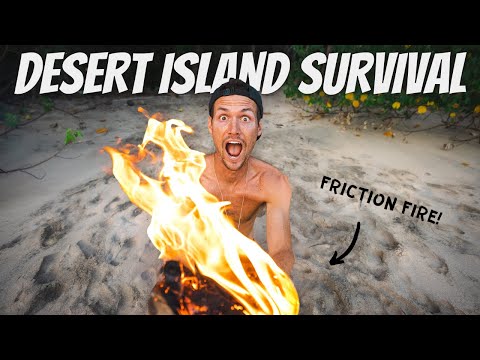 LEARNING TO SURVIVE ON A DESERTED ISLAND