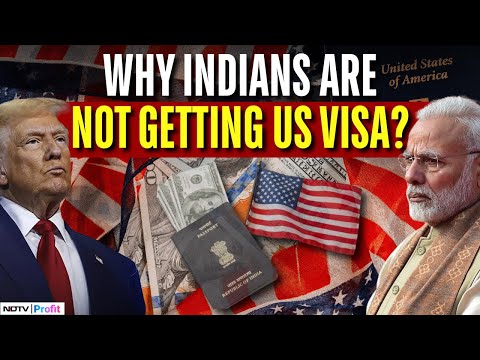 Why US Visa Delays Are Hitting Indians Hard; MEA Flags Major Concern | US Visa News