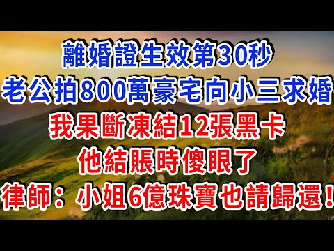 離婚證生效第30秒，老公拍800萬豪宅向小三求婚，我果斷凍結12張黑卡，他結賬時傻眼了，律師：前夫人6億珠寶也請歸還！#雅婷講故事#為人處世#生活經驗#情感故事#晚年哲理#說故事#完結文#出軌