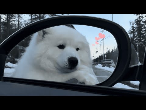 Korean Winter Love Songs ❄️ | Emotional & Cozy Playlist for Cold Days