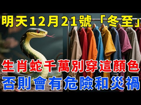 生肖蛇，明天12月21號，農曆冬月初二「冬至」，你千萬不要穿這顏色！否則會有危險和災禍！切記！【梵心若素】#生肖 #運勢 #風水 #財運 #命理