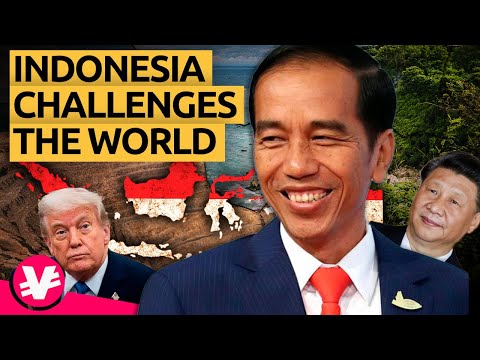 This twisted move by INDONESIA has put the USA and CHINA in CHECK | @VisualEconomik EN