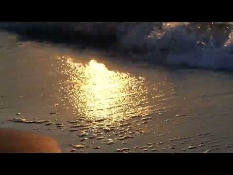 Golden Shore 🌊 Ocean Ambience: Gentle Waves at Sunset | 12 Hours