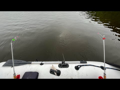 Лещ на подпуск/запустил кракена и  все рыбаки разбежались по домам