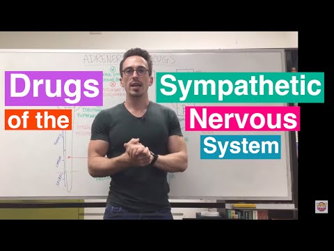 Adrenergic Drugs | Drugs of the Sympathetic Nervous System