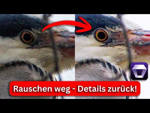 Aiarty Image Enhancer 3.5: Reduce noise and enlarge photos – no subscription required
