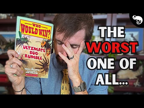 Zoologist Reacts to Who Would Win? Ultimate Insect Rumble