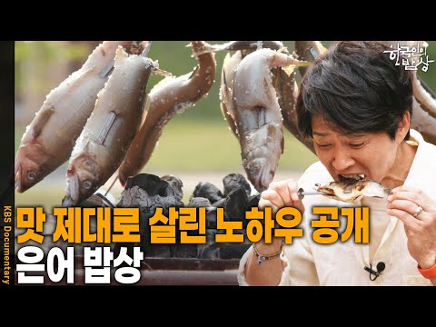 갓 잡은 싱싱한 은어로 만든 별미 음식! 최고의 맛과 향을 내는 은어 밥상 | KBS 20250619 방송