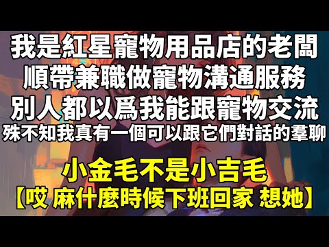 我是紅星寵物用品店的老闆。順帶兼職做寵物溝通服務。別人都以爲我能跟寵物交流。殊不知，我真有一個可以跟它們對話的羣聊。小金毛不是小吉毛：【哎，麻什麼時候下班回家，想她。】