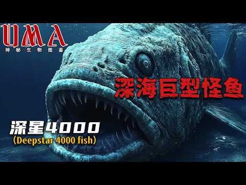 活化石腔棘魚的巨型兄弟？深海遭遇15米史前巨魚，科學家：這不可能存在！#神秘生物 #科普 #未解之謎 #懸疑 #探索