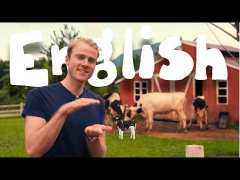 Learn English with Farm Animals 🐷🐰 Comprehensible Input (beginner friendly)