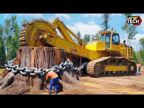 Extreme Dangerous Fastest Big Chainsaw Cutting Tree Machines | Monster Stump Removal Excavator #28