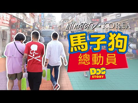 【韓國最終章】關於我們轉生變成馬子狗這檔事｜想做一個好老公好男友好簡單｜加入我哋馬子狗天團！是日金句の馬子狗心法「好簡單嘅啫，買多一定唔會錯！做仔嘅嘢唔駛做得啱，唔好做錯就得！」
