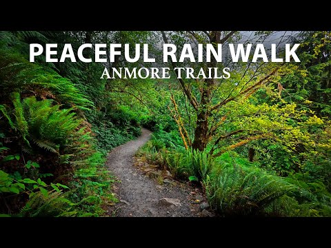 Peaceful Hike in the Rain – Quiet Trails & Lush Green Forests near Buntzen Lake, Anmore BC Canada