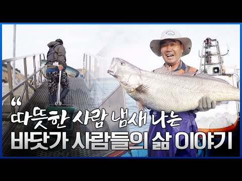 아들손자며느리 다 모여 사는 북적북적 쌍둥이네 #누나들과 함께라 든든한 어부 이장님 #남남북녀가 만들어가는 따뜻한 인생 #사랑하는 가족 이야기 #따뜻한 이야기 #어민의 삶