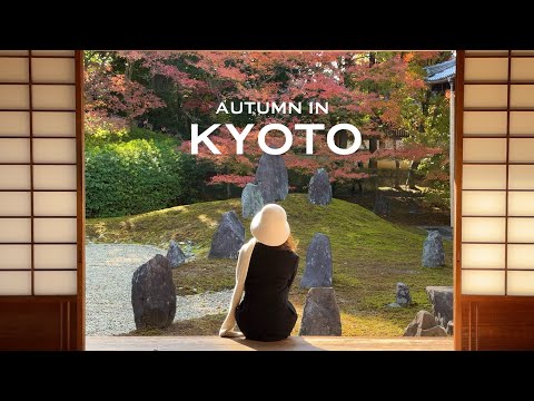 Kyoto in autumn | 3-day itinerary | teahouse, cafes, temples & red leaves spots | Japan VLOG