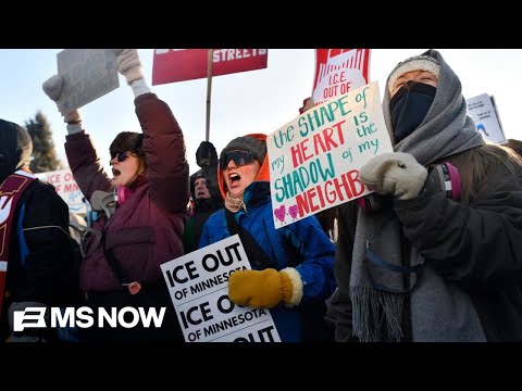 Know your rights: How to safely & legally protest