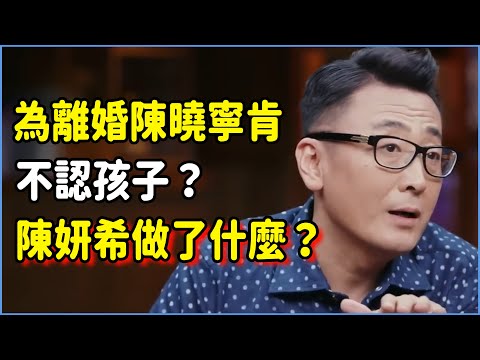 為離婚陳曉寧肯不認孩子？陳妍希到底對他做了什麼？#talkshow #圆桌派 #窦文涛 #脱口秀 #真人秀 #圆桌派第七季 #马未都