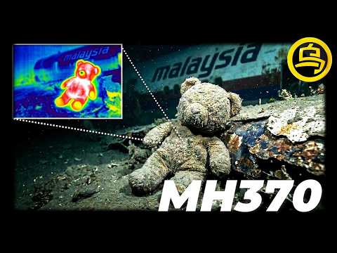 没人敢说的真相，马航MH370“不能”被找到的真正原因...1小时中间无广告合集 [She's Xiaowu 小乌]