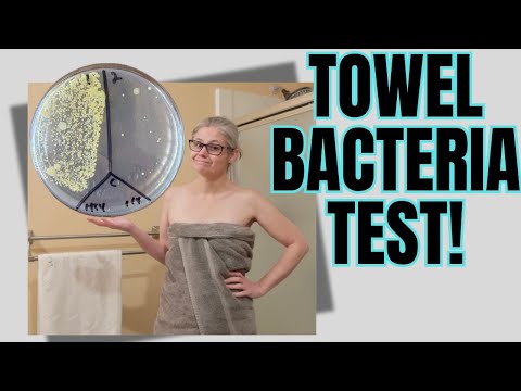 How Often Should You Wash Your Towels? I Bacteria Tested Mine!